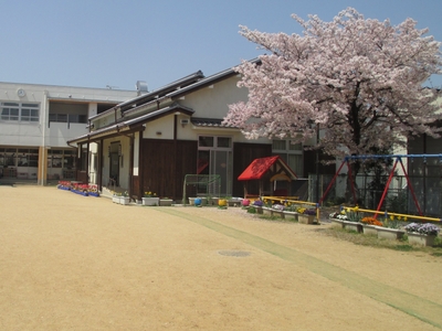 ZfGroxPzToL1rlPiHQAR.jpg?w=940&h=940