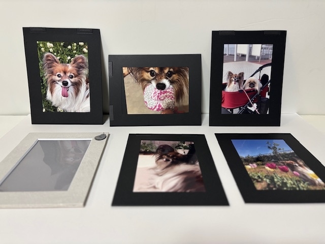 フォトフレーム＋マグネット台紙5枚