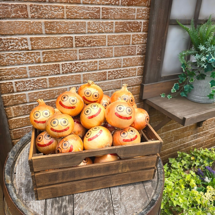 ▲食べるのがもったいない!可愛いリアルな“たまねぎスライム”