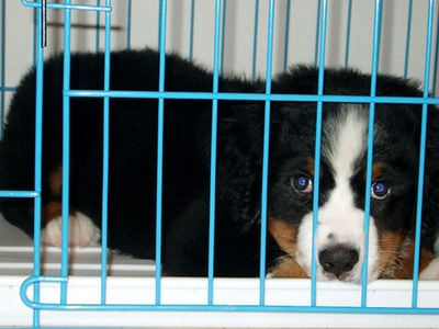 ZgCF8mIxUXBXwMPRNhAr.jpeg?w=940&h=940