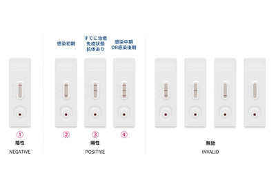 Zgin4aWrBjB1TKATYxz6.jpg?w=940&h=940