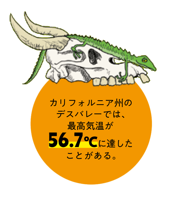 燃えてしまいそう!