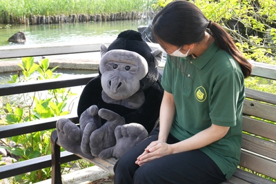 Zk5y0TfLHn4UDYdwkzgs.jpg?w=940&h=940