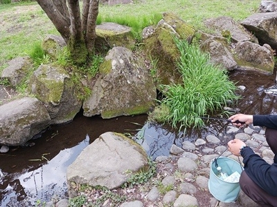 「ザリガニ釣り体験（イメージ）」