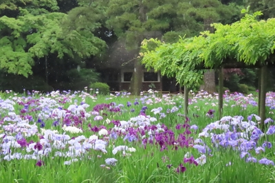 ZlKLqy9yzHK0GrS5LhWW.JPG?w=940&h=940