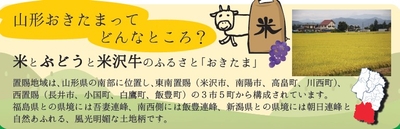 ZlmXgTWeXiAfag0q87vb.jpg?w=940&h=940