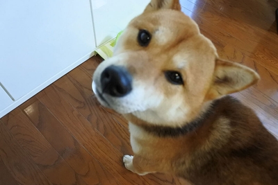 ZmGnxNW0caMaIdRmhbf5.jpg?w=940&h=940