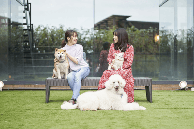 ZnUnEyZjbQN9b1ZeW2Q0.png?w=940&h=940