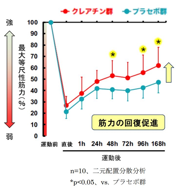 図3 運動後の筋力低下に対する クレアチンの効果