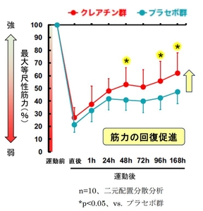図3　運動後の筋力低下に対する クレアチンの効果