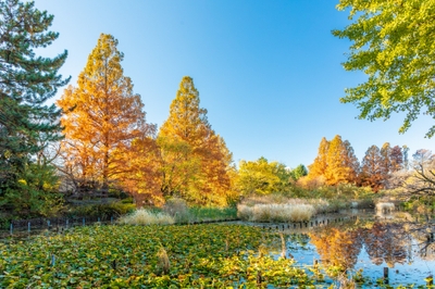 ZqAqMJzsMJgFMIStRsMr.jpg?w=940&h=940