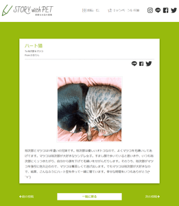 Zqwhn1Bppa3FIdBCDl8V.png?w=940&h=940