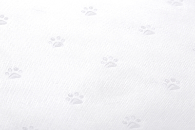 裏面には肉球風シリコンゴム