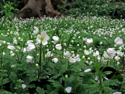 ZsDQIFsiHkv90F1Gg09G.jpg?w=940&h=940