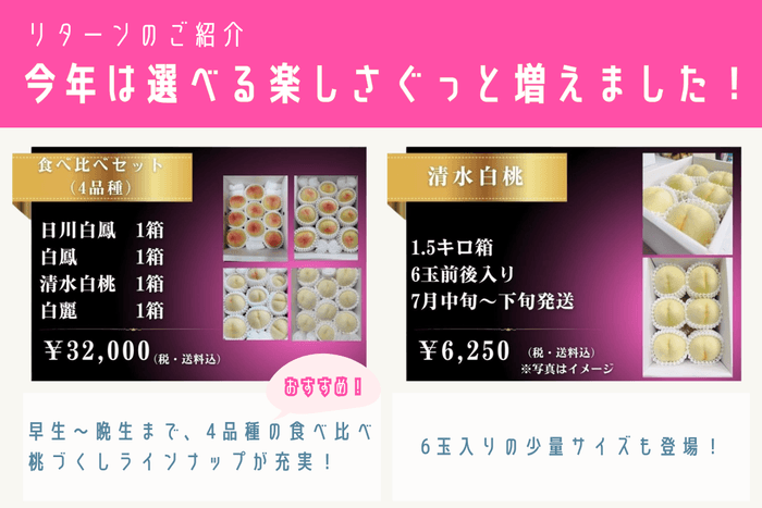 注目のリターン品