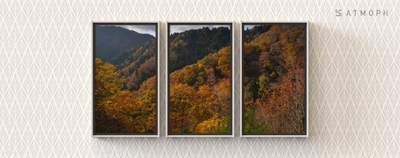 ZtL0k6Ak2kWfeQ9vjn5K.jpg?w=940&h=940