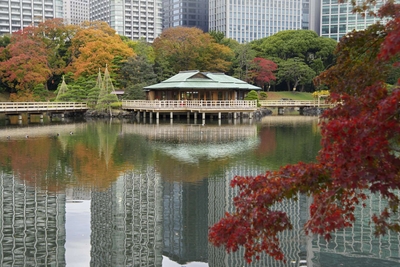 ZvRIjIANjc24E6NnUfKh.jpg?w=940&h=940