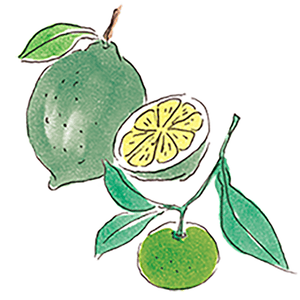 Zx5kDqtQEoD3WN5iVD1k.png?w=940&h=940