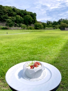 ZyfgRsoIGOFKBKwJ2K4n.jpg?w=940&h=940