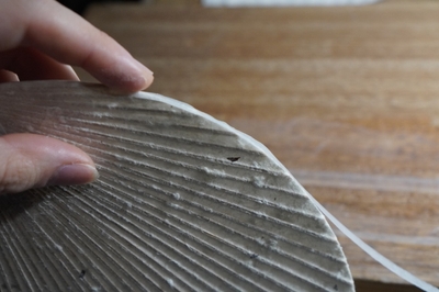 Zz1femqRw4UUEirbda9r.jpeg?w=940&h=940