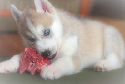 ZzSfHJHltFhhzo0kYz3Z.jpeg?w=940&h=940