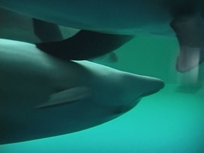 母から子へのラビング