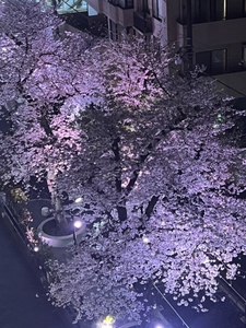 a3WF2VtpDgqTiGMMb7p2.jpeg?w=940&h=940