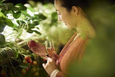 a3ZqQSKlUCJPWpSTT44N.jpg?w=940&h=940