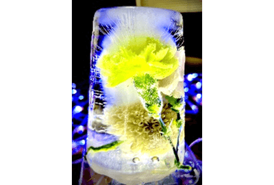 氷中花イメージ