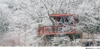 ROKKO森の音ミュージアム SIKIガーデンWinter Season 冬に色変わりする木々と森の静寂を堪能する季節の到来 2025年12月1日（月）～2026年2月28日（土）