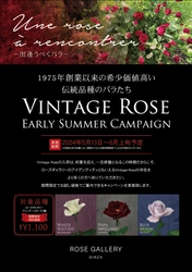【6/2ローズの日】ローズギャラリーの歴史を語るバラ“Vintage Rose”に出逢う期間限定キャンペーン今年も開催　『Une rose à rencontre』ウネ ロザ ランコーント ～ 出逢うべくバラ～