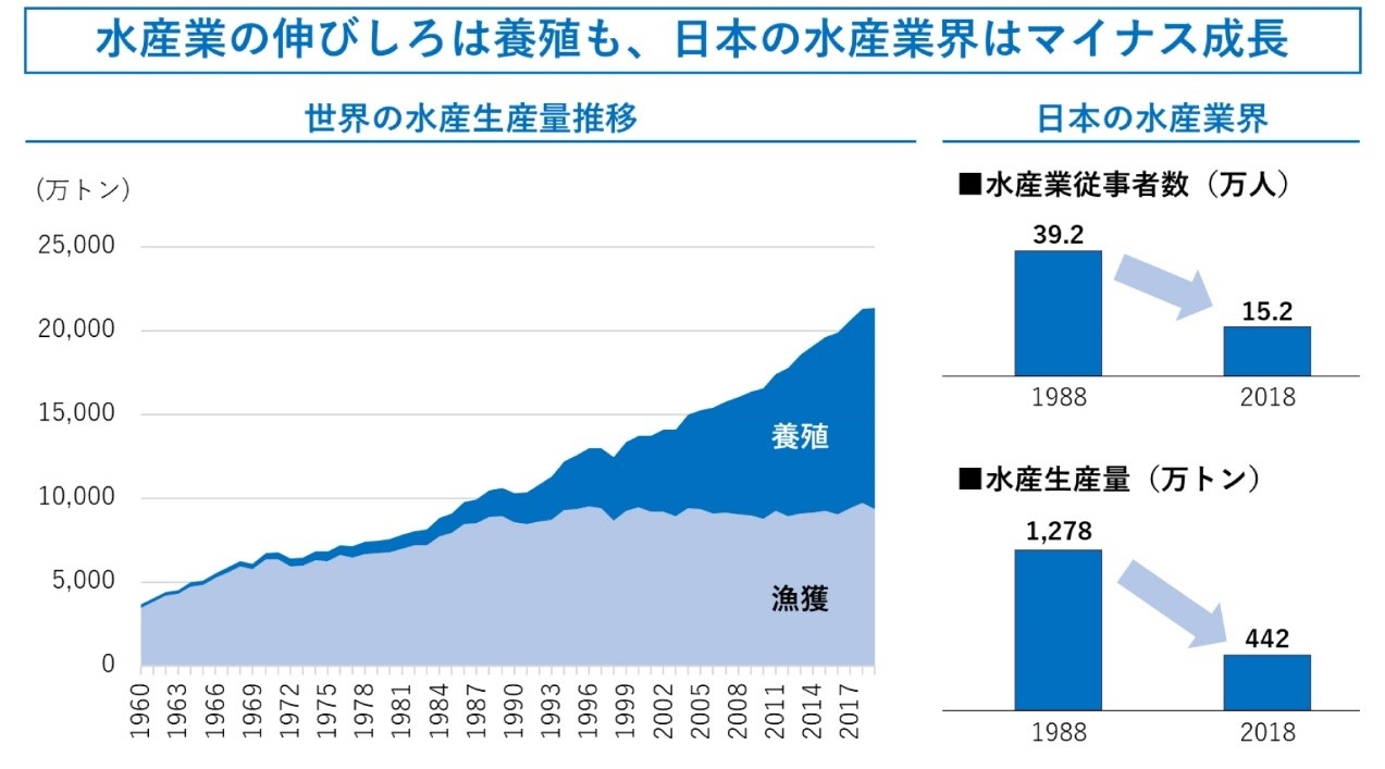 水産の伸びしろは養殖も、日本の水産業界はマイナス成長