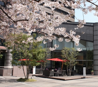 a5Ac225pmQP06IYa4uSh.jpg?w=940&h=940