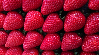 a5AqcfoqWeZVQF5yOdIp.jpg?w=940&h=940