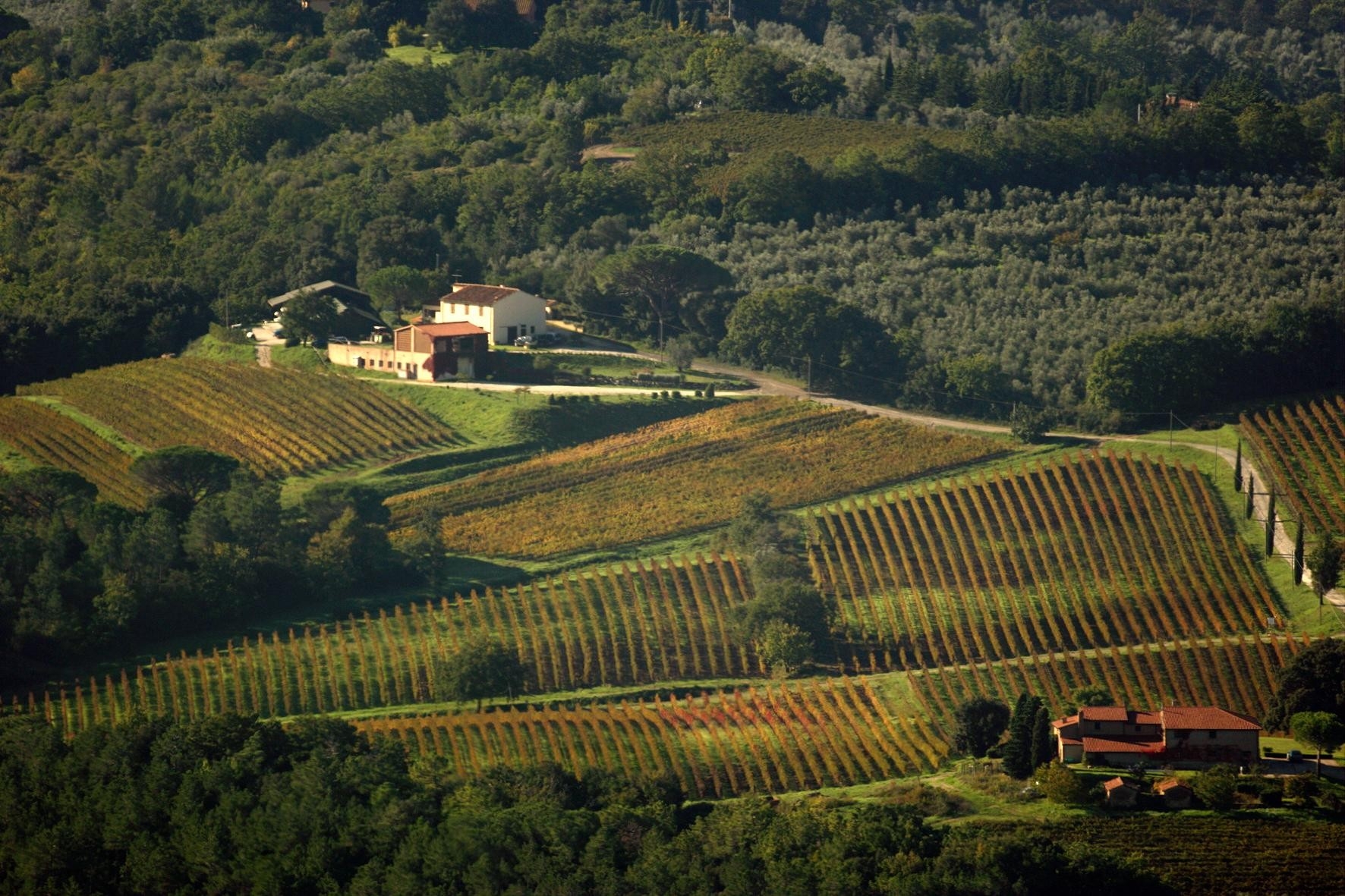 ワイナリーより