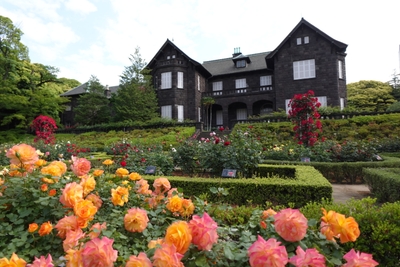 a6tM5epY7Ld7FEB8zA0X.JPG?w=940&h=940