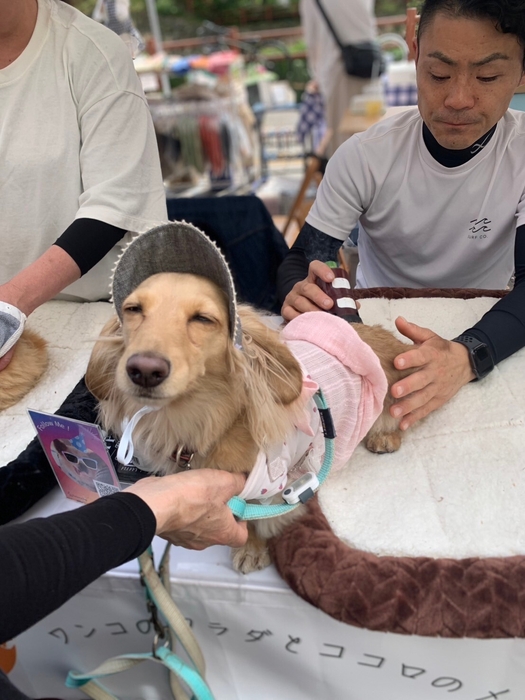 わんこのおきゅう In関西