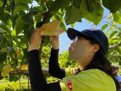 a9aG5ki7IqcNGQD0IPaB.jpg?w=940&h=940