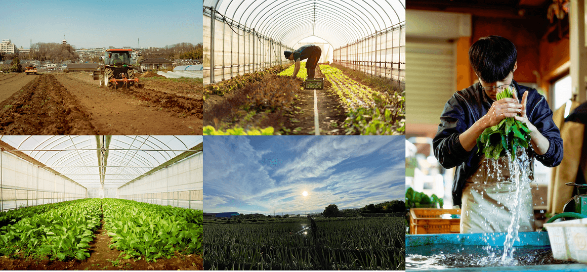 農toコーヒーのマルシェ イメージ