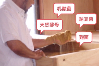 aA6tHL235CJa0qprVvCr.jpg?w=940&h=940