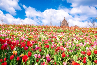 aCsr8HOrVDWiq7BWD4lv.jpg?w=940&h=940