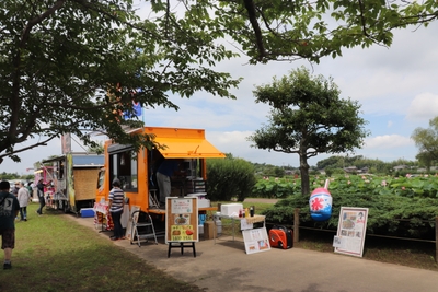 aCvp3yzphdZxqfe81bSD.jpg?w=940&h=940