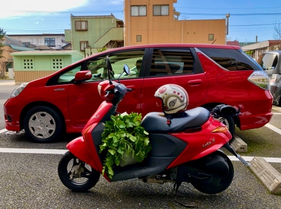 aEDimgWcOPa0kqtMASEY.jpg?w=940&h=940