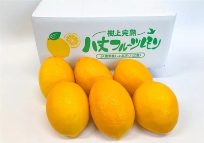 aEX6y0X85ndxyFOisMB5.jpeg?w=940&h=940