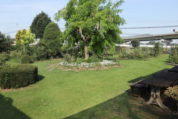 Garden Place 花のワルツ　イングリッシュガーデン(4)