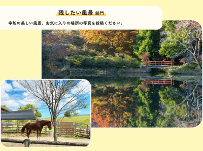 aH90jzVAVl0tNcpOdOUZ.png?w=940&h=940