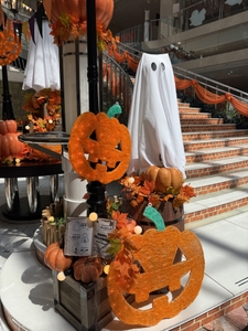 aHnXwKzOuQ0l1VDY1627.jpeg?w=940&h=940