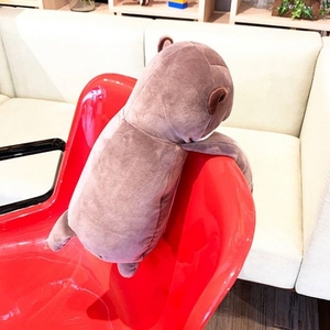 aI9g4995Fvha8iR32WlQ.jpg?w=940&h=940