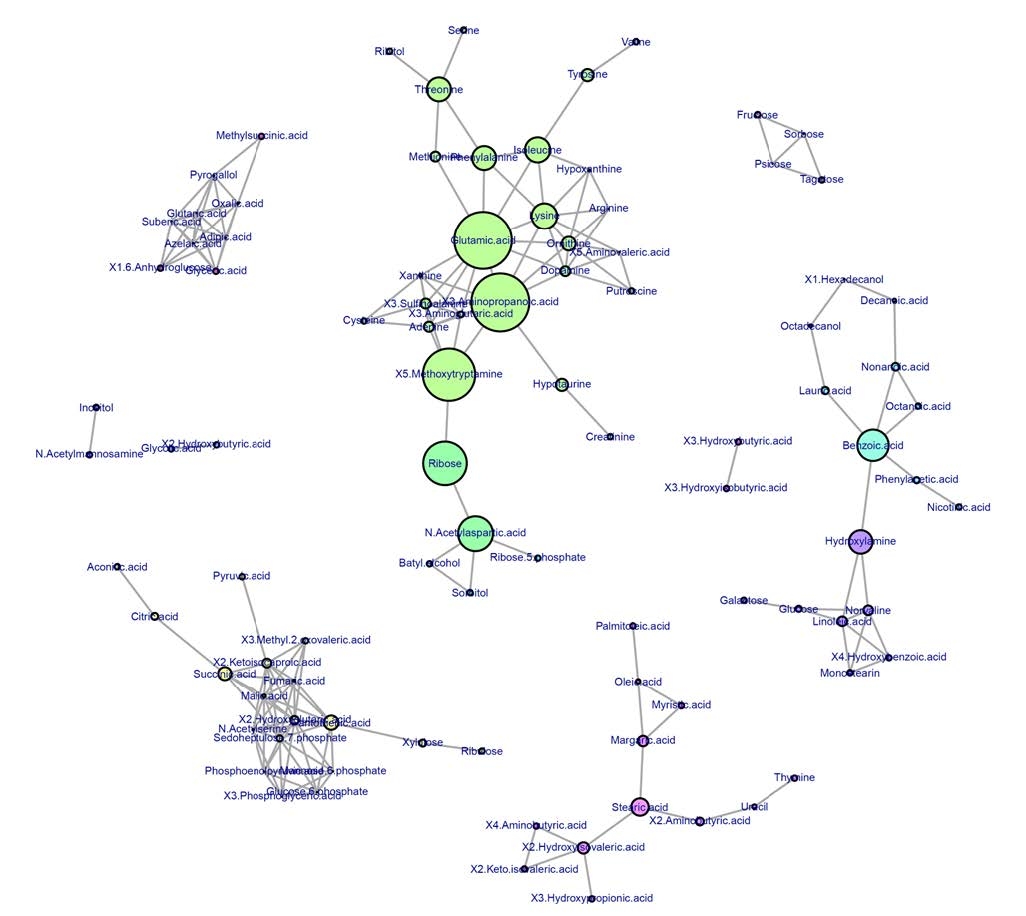 図3 相関ネットワーク解析の結果 | ここでは相関係数(R)>0.75を基準に設定した。各ノード(円)の大きさは媒介中心性指標に応じてサイズが大きく示されている。