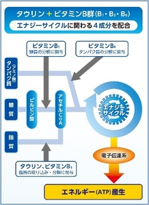 aItmdGcNnXqyA1DwZmFl.jpg?w=940&h=940